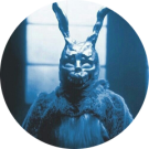 Frank The Rabbit Avatar